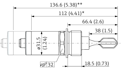 Endress+Hauser FTL31 Vibronic Point level detection Liquiphant